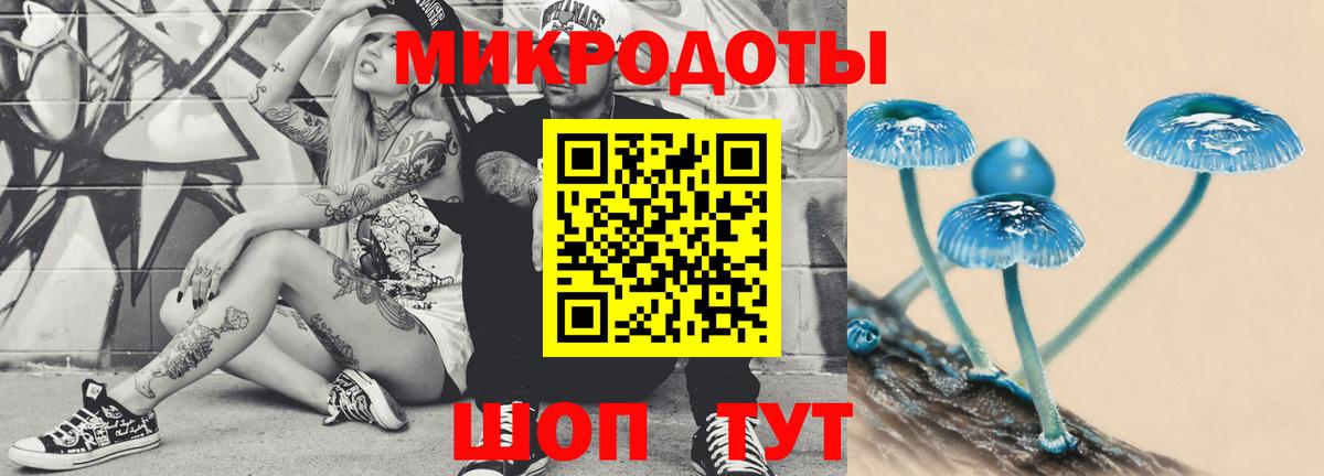 Галлюциногенные грибы Psilocybe Мирный