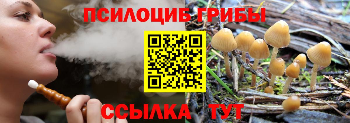 Галлюциногенные грибы мухоморы  Вход с VPN  Мирный 